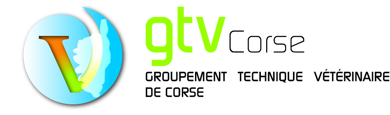 GTV Corse