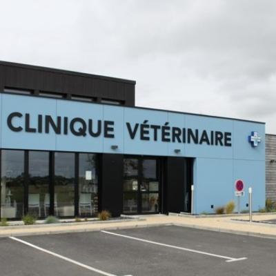 COVID 19 : Dispositions à prendre dans les structures vétérinaires 
