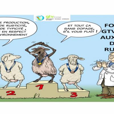 FORMATIONS ÉLEVEURS
